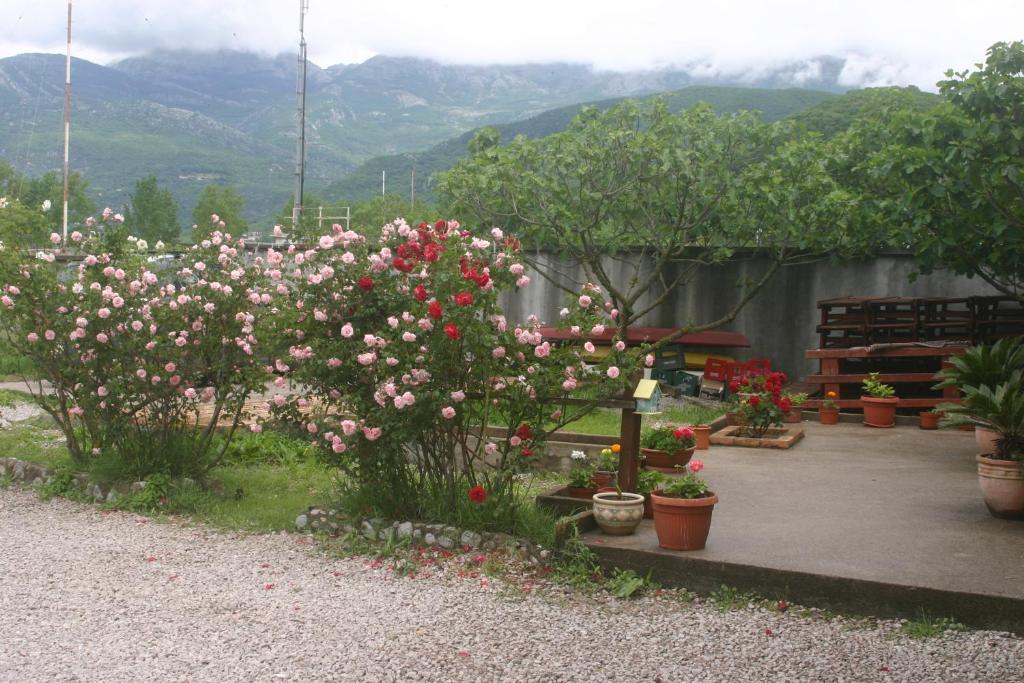 Apartments Savina Budva Dış mekan fotoğraf